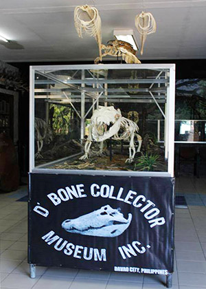 D'bone collector museum